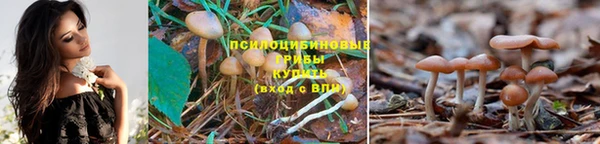 мяу мяу кристалл Майский
