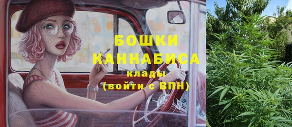 трава Медвежьегорск