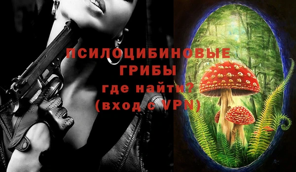 мдпв Магадан
