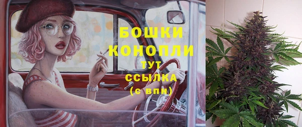 трава Медвежьегорск