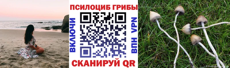 Псилоцибиновые грибы прущие грибы  Нефтегорск 